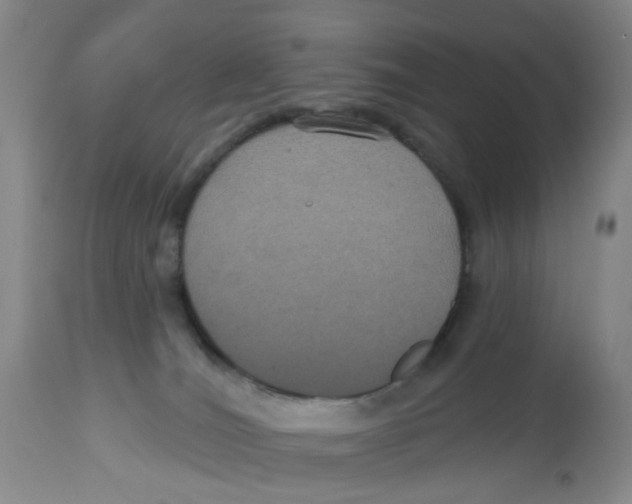 X0000112520036200909141233