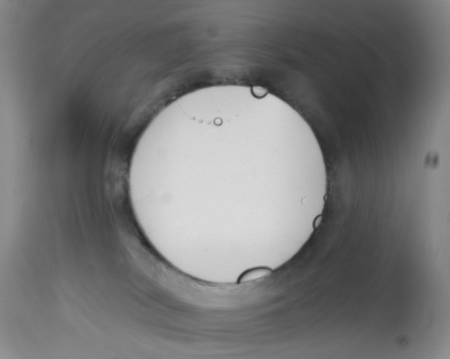 X0000112520038200909141233