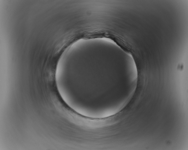 X0000112520039200909141233
