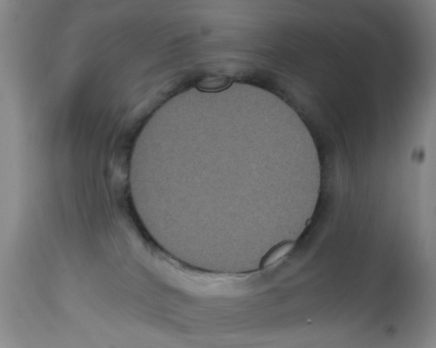 X0000112520040200909141233