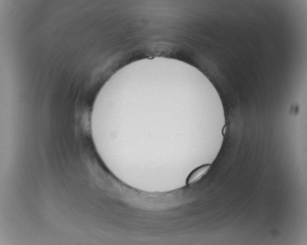 X0000112520042200909141233