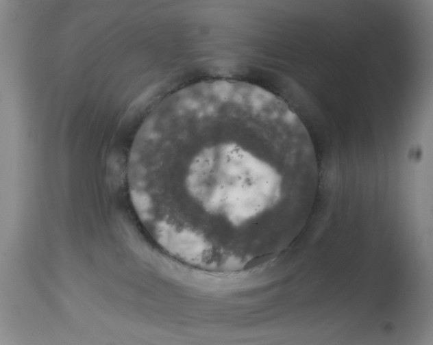 X0000112520043200909141233