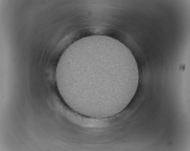 X0000112520044200909141233