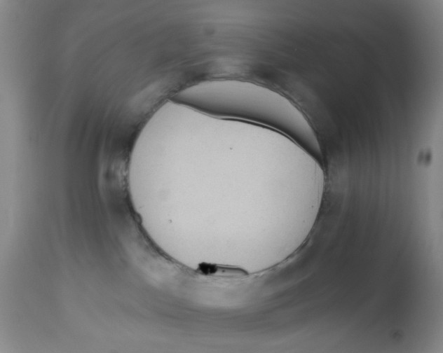 X0000112520045200909141233