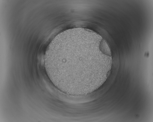 X0000112520046200909141233