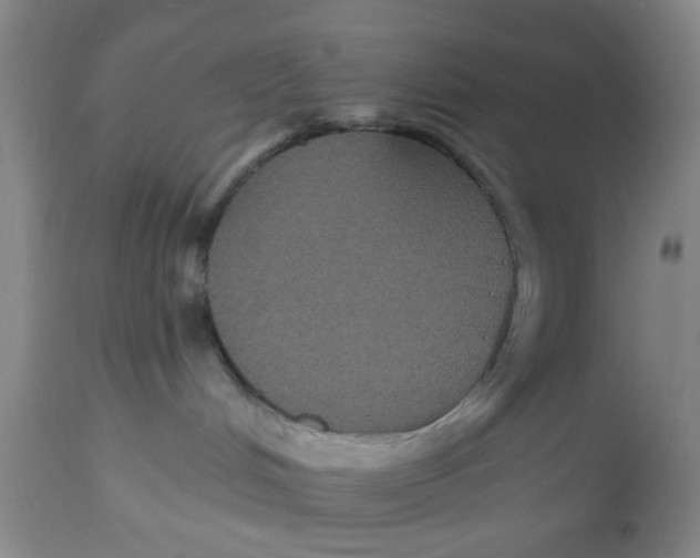 X0000112520048200909141233