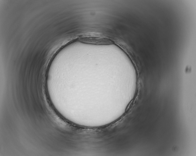 X0000112520049200909141232