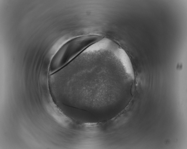X0000112520052200909141232