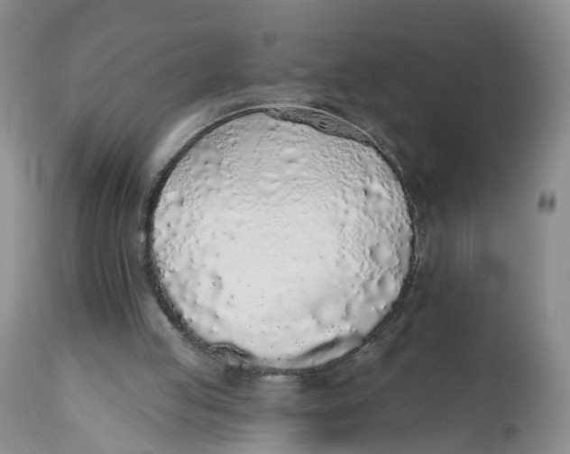 X0000112520053200909141232