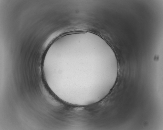 X0000112520054200909141232