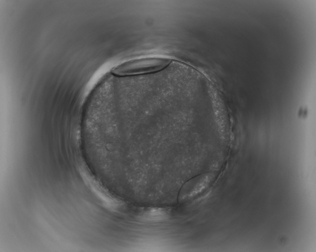 X0000112520056200909141232
