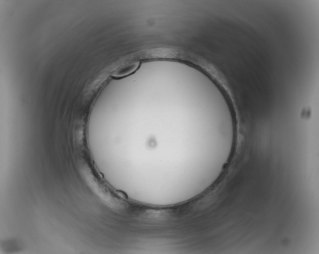 X0000112520057200909141232