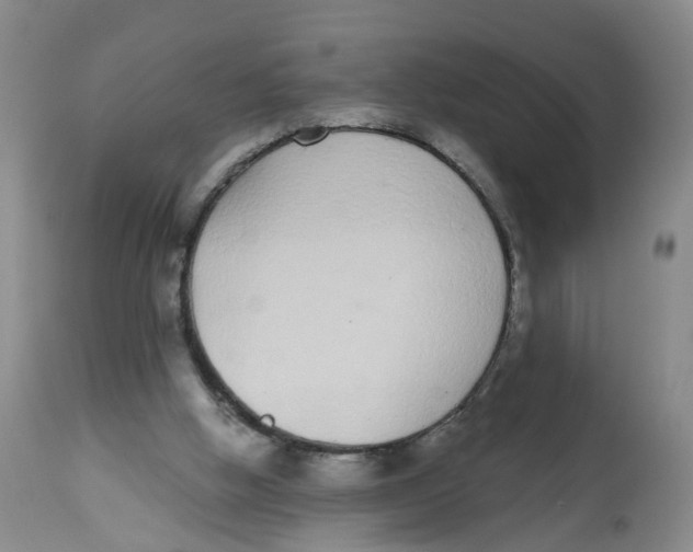 X0000112520058200909141232