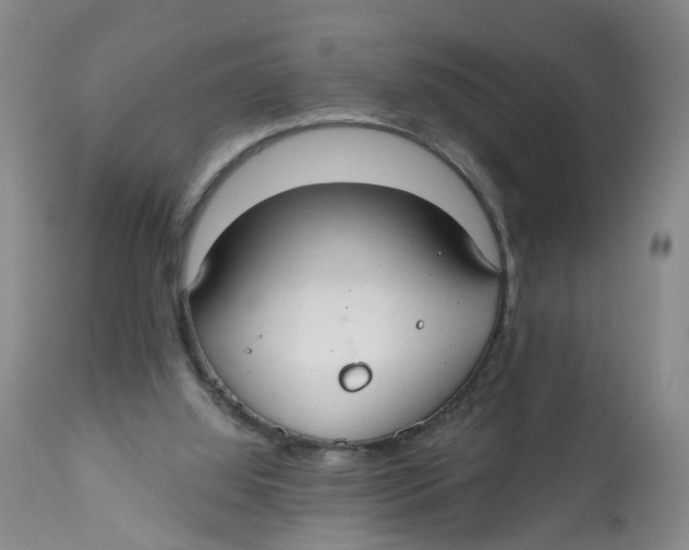 X0000112520060200909141232