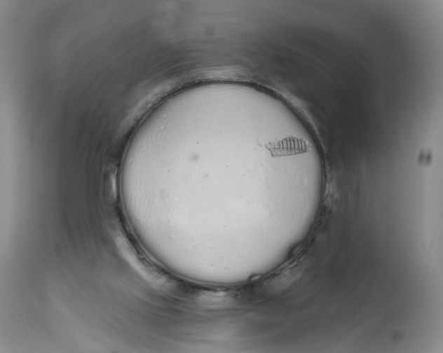 X0000112520061200909141232