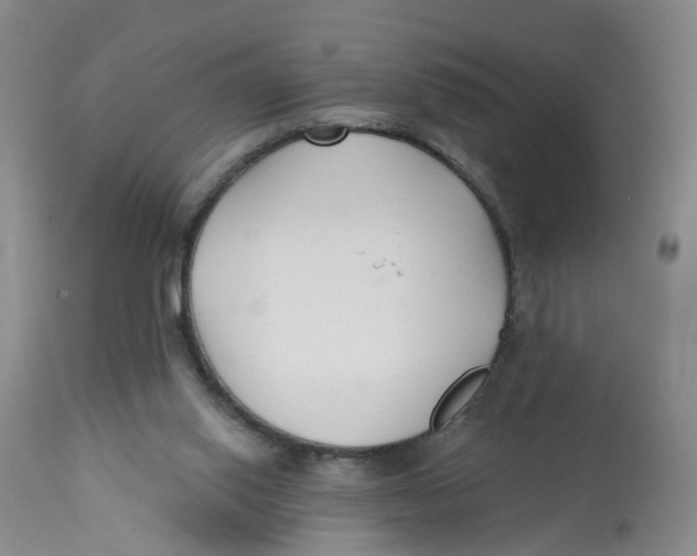 X0000112520062200909141232