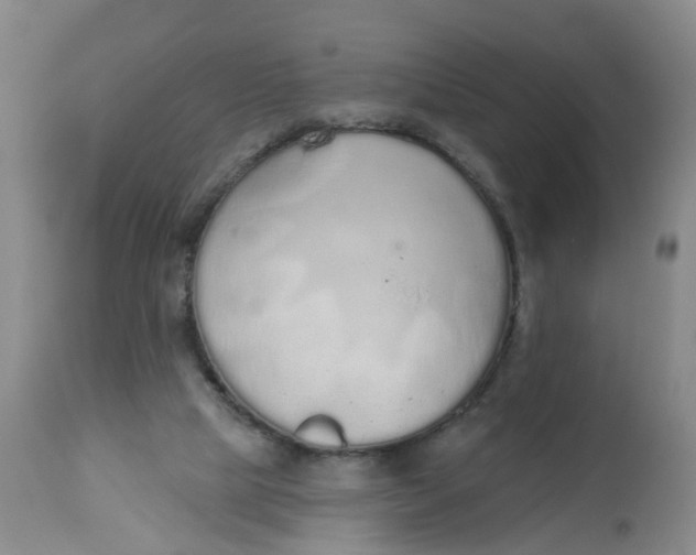 X0000112520065200909141232