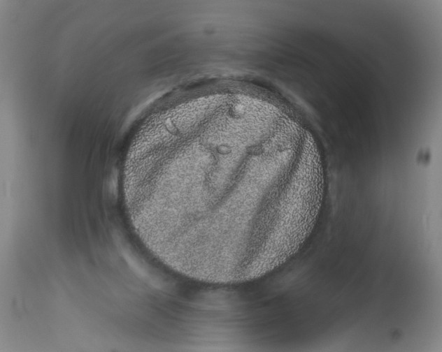 X0000112520067200909141232