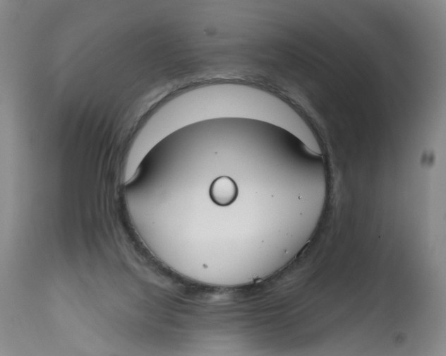 X0000112520068200909141232