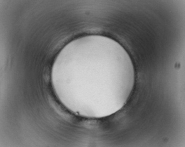 X0000112520069200909141232