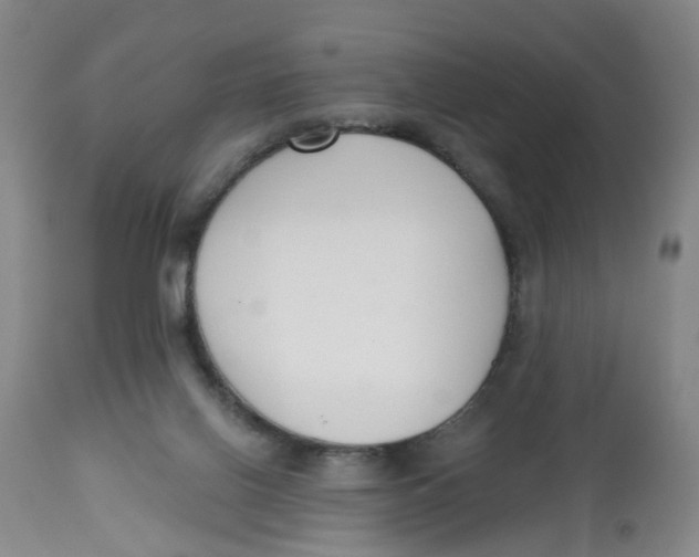 X0000112520070200909141232