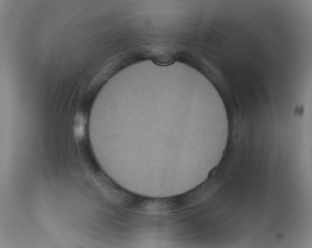 X0000112520075200909141233