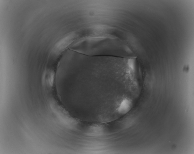 X0000112520076200909141233