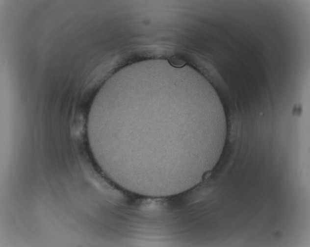 X0000112520077200909141233