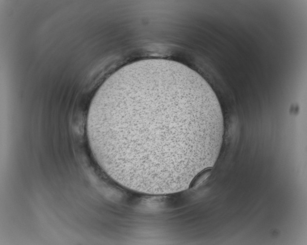 X0000112520078200909141233