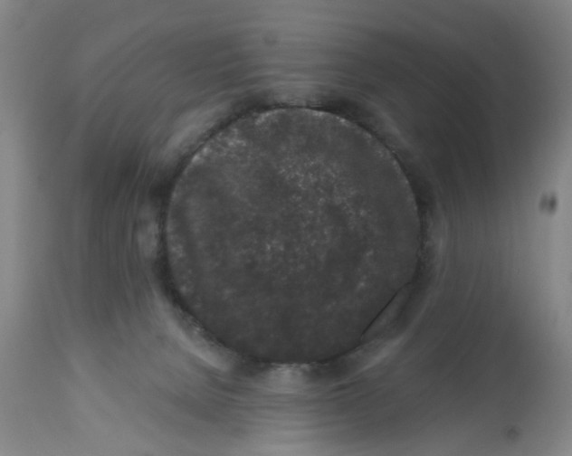 X0000112520080200909141233