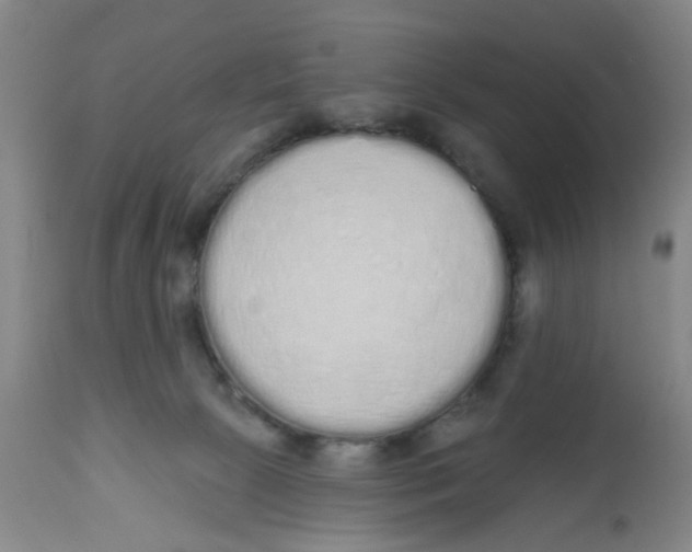 X0000112520081200909141233