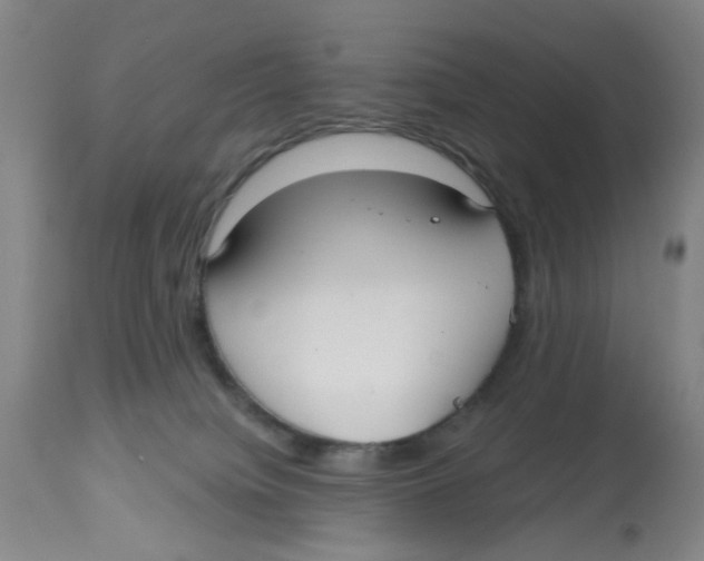 X0000112520084200909141233