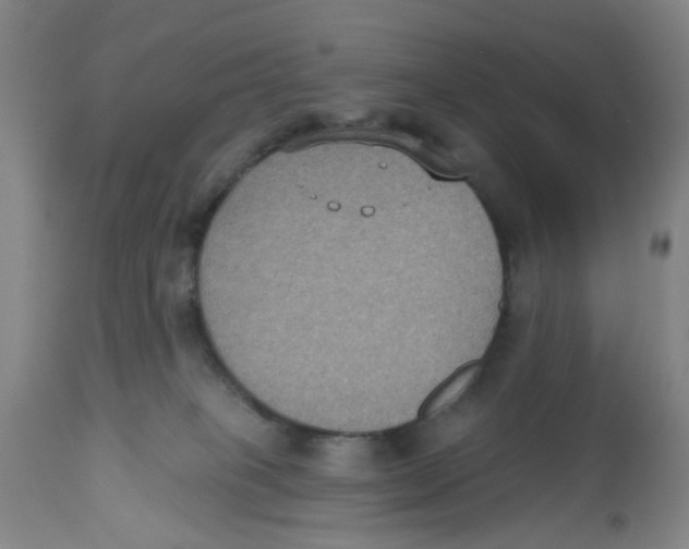 X0000112520085200909141233