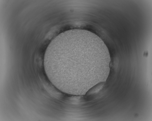 X0000112520086200909141233