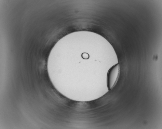 X0000112520087200909141233