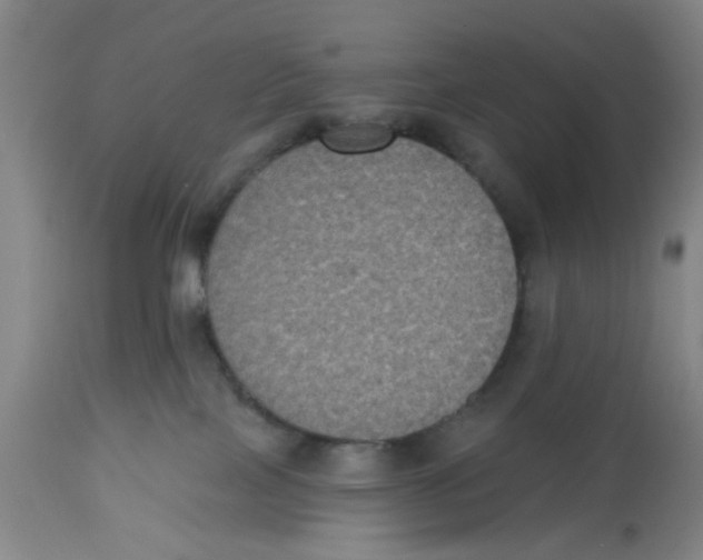 X0000112520089200909141233