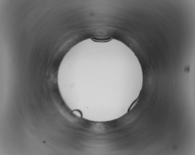X0000112520091200909141233