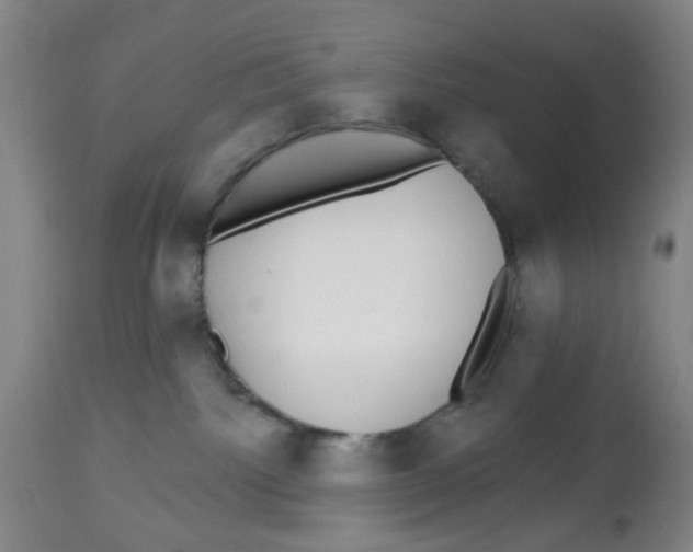 X0000112520092200909141233