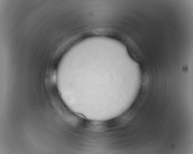 X0000112520095200909141233