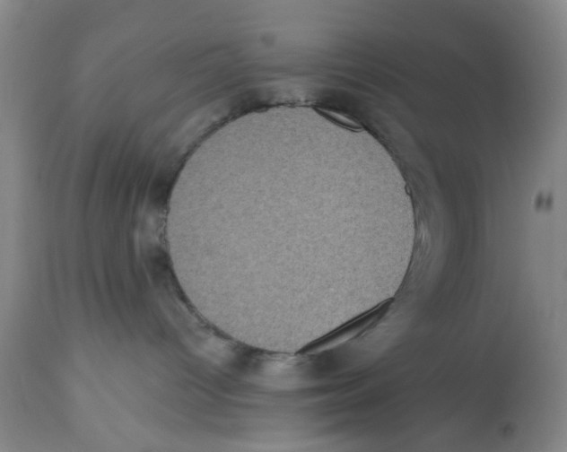 X0000112520096200909141233