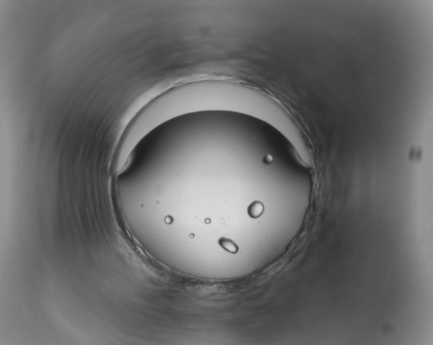 X0000112520100200909141232