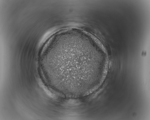 X0000112520101200909141232