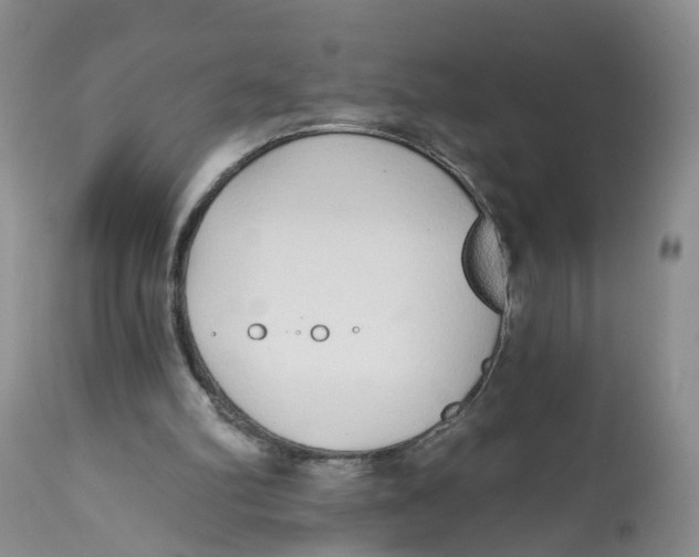 X0000112520102200909141232