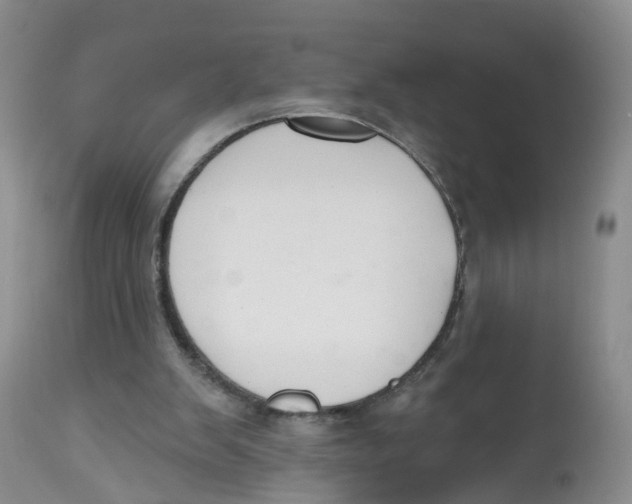 X0000112520103200909141232
