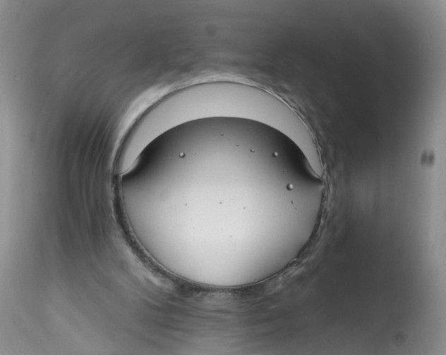 X0000112520104200909141232