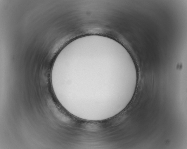 X0000112520106200909141232