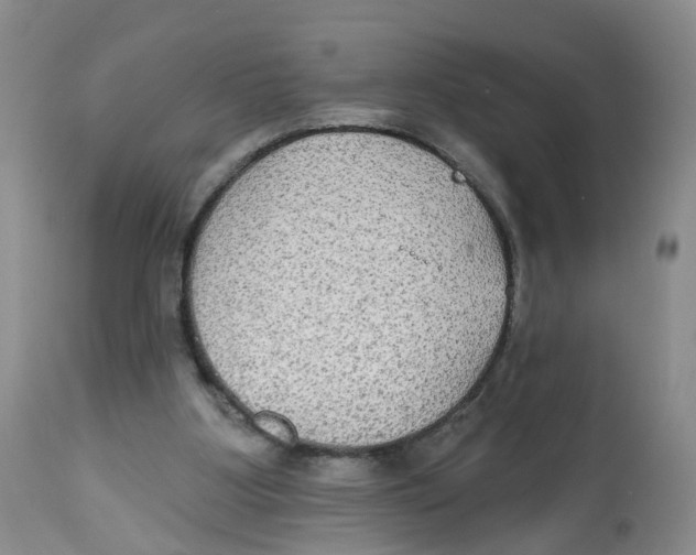 X0000112520107200909141232