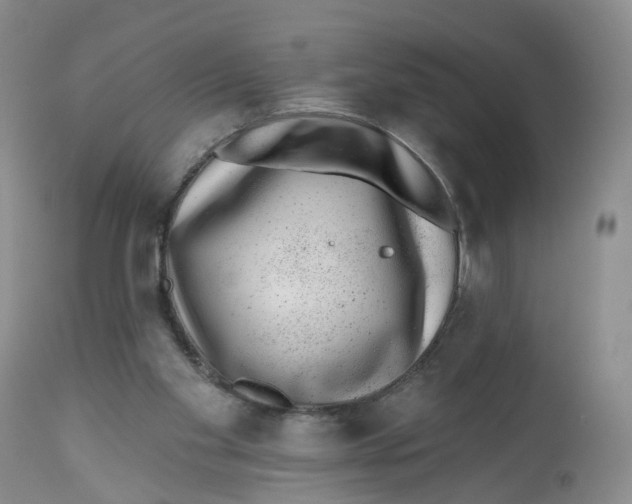X0000112520109200909141232