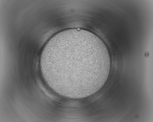X0000112520110200909141232