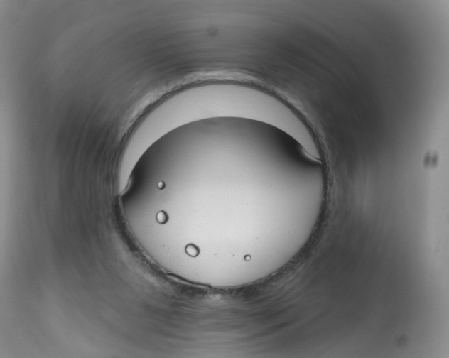 X0000112520111200909141232